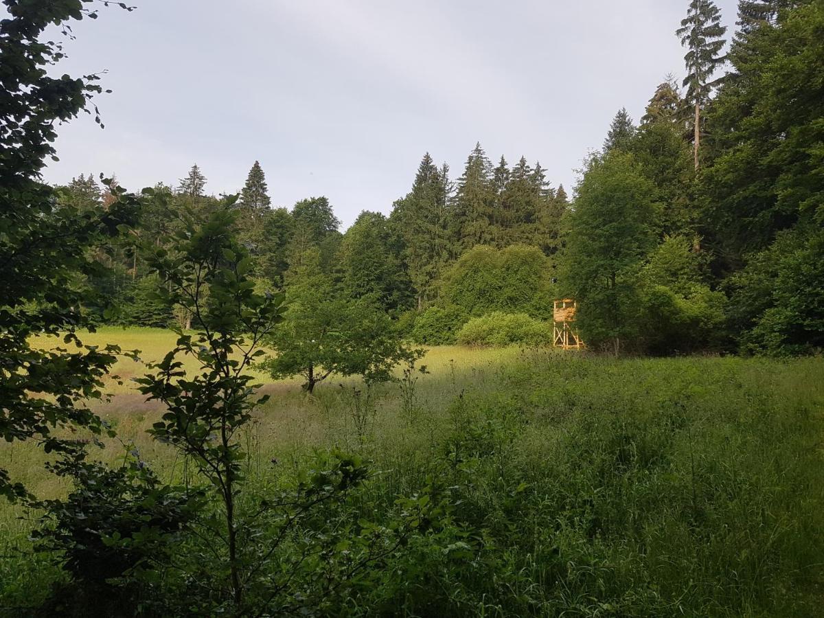 Ferienwohnungen.Ruhla Luaran gambar