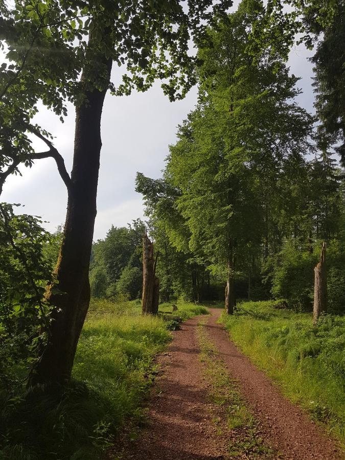 Ferienwohnungen.Ruhla Luaran gambar