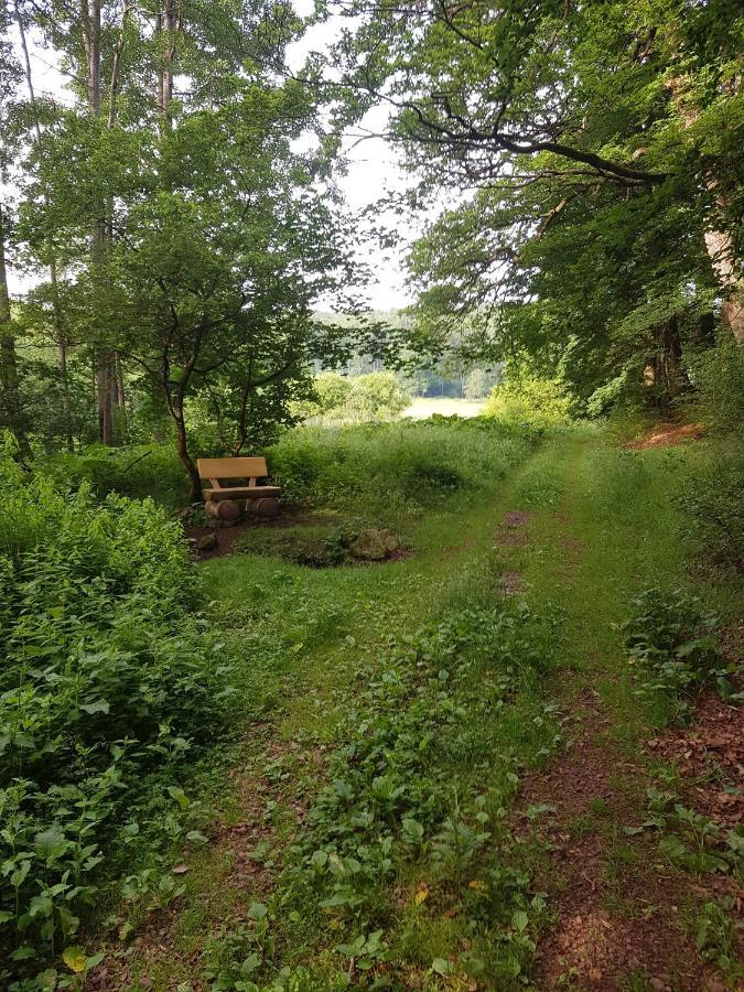Ferienwohnungen.Ruhla Luaran gambar