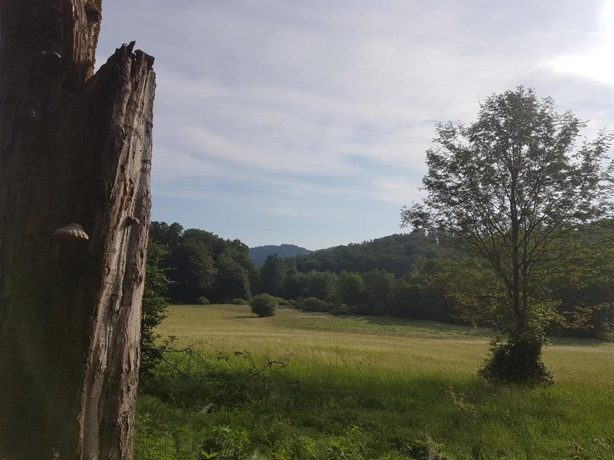 Ferienwohnungen.Ruhla Luaran gambar